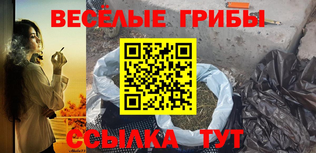 Псилоцибиновые грибы Psilocybine cubensis  Вход с VPN  Балтийск  Галлюциногенные грибы Psilocybine cubensis 
